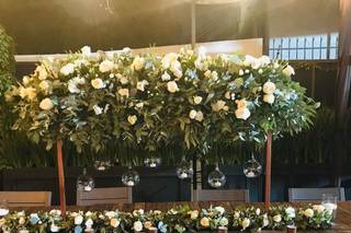 Rosas Canela - 16
