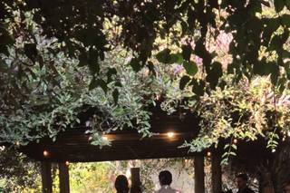 Jardín Casarett - 10
