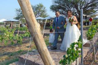 Finca Ancestra - 3