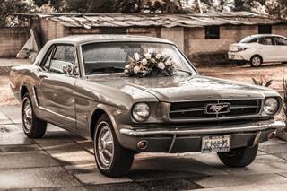 Dreamy Classics - 9