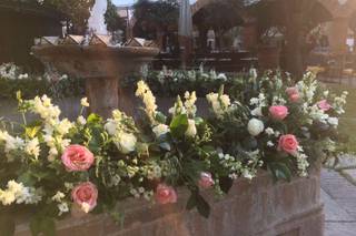 Quality Mobiliario & Banquetes - 6