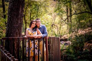 Arvis Producciones - 14