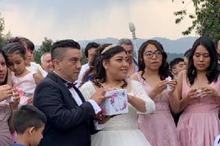 Alas de Amor Mariposas - 10