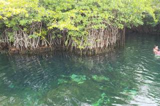 Bel Air Xpuha Riviera Maya by BelAir Dreams Wedding - 7