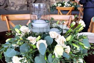 Florería Phalenopsis - 17