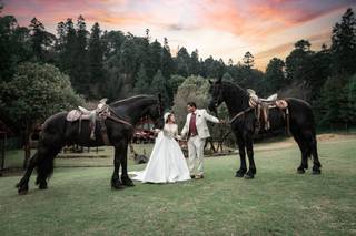 Pammy Prado Fotografía - 5