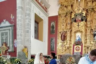 Más que Flores - 8