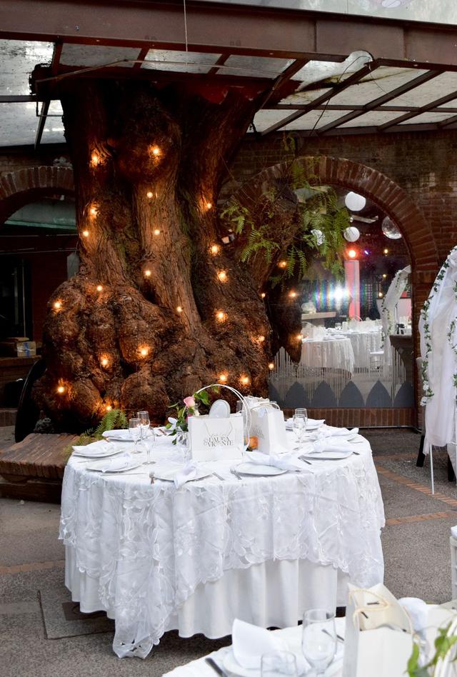 Banquetes Tlalpan - 2