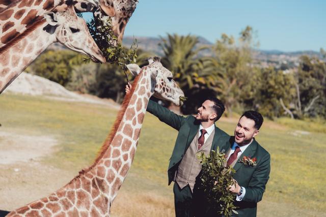 Mone Wedding Planner - 3