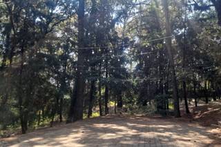 Rincón del Bosque Casa de Eventos - 9