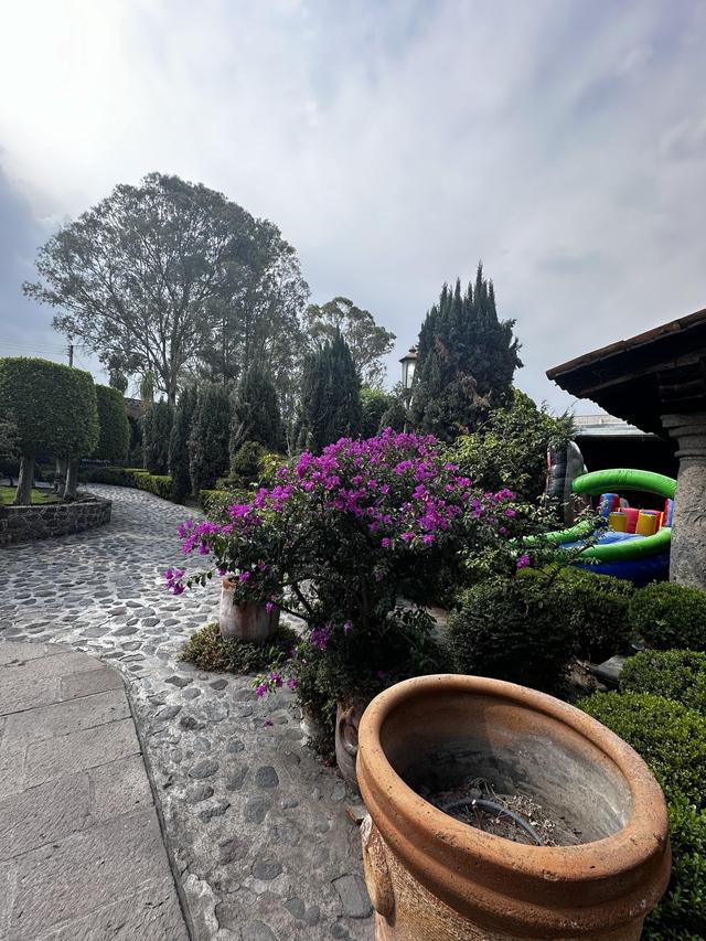 Ex Hacienda San Agustín - 4