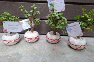 Suculentos Recuerdos - 5