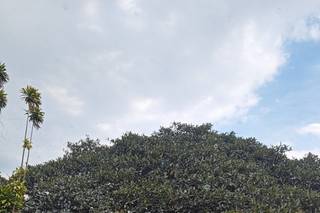 La Concha Eventos - 5