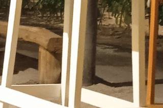 Los Chatos Olimpica - 5