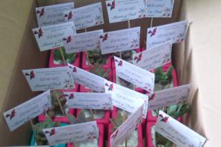 Detalles Inolvidables - 6