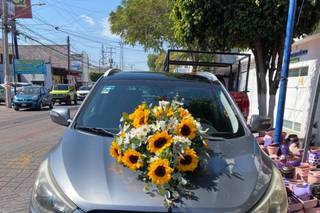 GarSan Transporte - 6