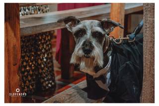 Hacienda de la Barranca - 24