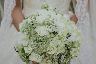 Romance Novias Culiacán - 8