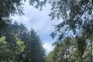 Jardín Rincón de las Estrellas - 19