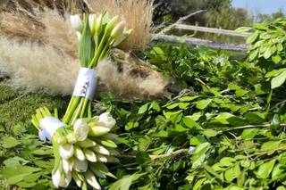 Concepto Floral - 12