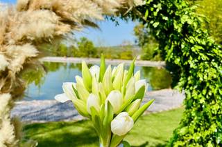 Concepto Floral - 14