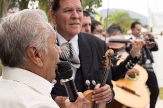 BlackBird Films - 24