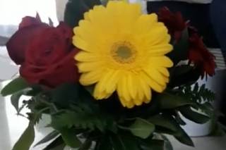 Flor de Yucatan - 16