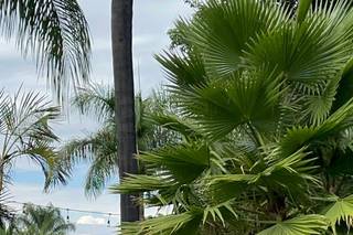 Las Palomas Atlixco - 10