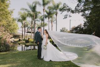 Wedding Memories - 8