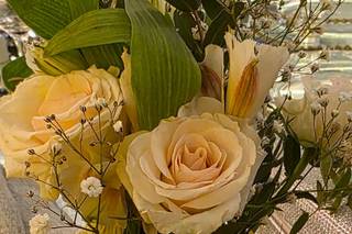 Quinta Santa María - 9