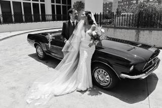 La Belle Époque - 10