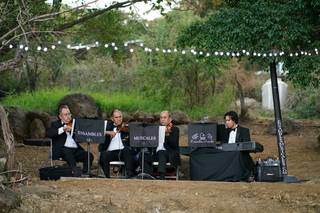 Ensambles Musicales - 11