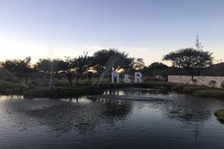 Viñedos Azteca - 11