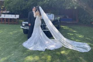 La Belle Époque - 7