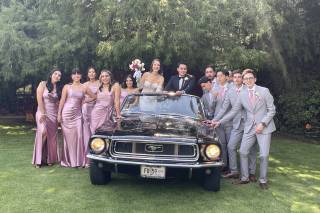 La Belle Époque - 8