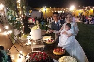 Papillon Making Dreams - 13