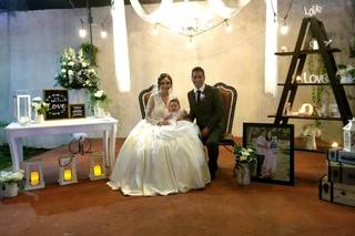 Papillon Making Dreams - 14