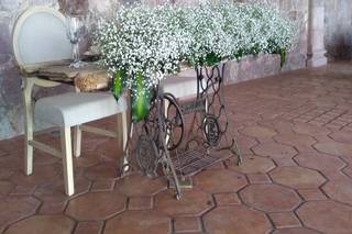 Fincasanta - 11