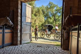 Hacienda Tovares - 8