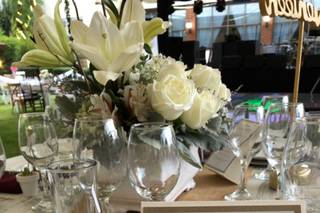 Vinde - Plantas y Artesanías - 15