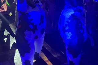 Jardín Fuentes 22 - 38