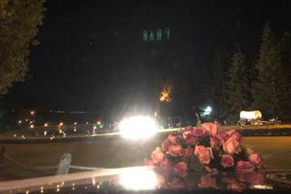 Fabiola Dorado Alta Floristería - 15