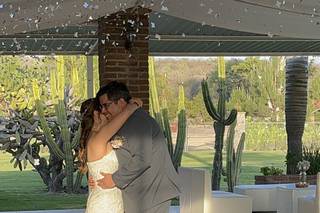 Julia Wedding Planner - 14