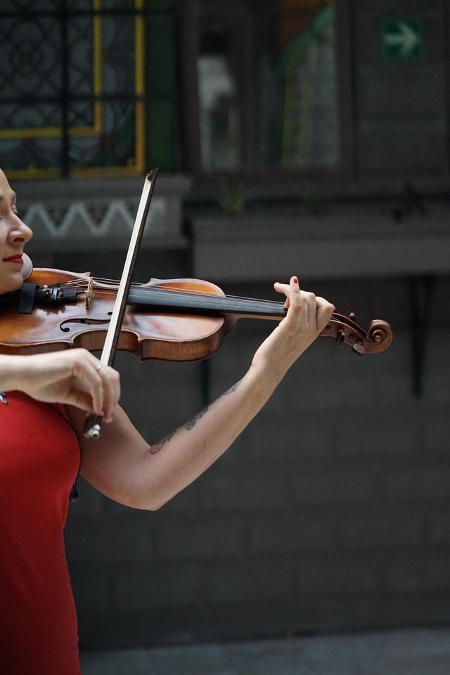 Polina Diorditsa - Violinista - 2