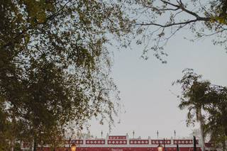 Buen Gusto & Co. Wedding & Event - 21