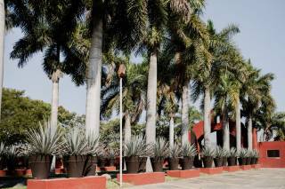 Hacienda el Tular - 27