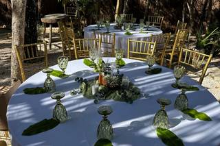 The Yellow Nest - 5