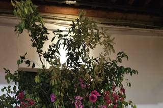 Claustro de Sor Juana - 13