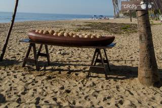 Papillon Making Dreams - 16