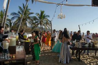 Papillon Making Dreams - 17